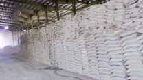 توزیع ۲۱۵۰ تُن کود کشاورزی برای محصولات باغی در همدان توسط شرکت خدمات حمایتی کشاورزی استان