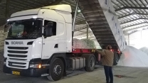 در استان همدان ۱۰۳ کارگزار و عامل فروش فعال عملیات توزیع کود را برعهده دارند 