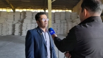  حمل مستقیم کود از مبادی تولید برای کارگزاران استان همدان