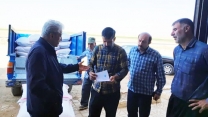 نظارت میدانی بر توزیع کود کشاورزی در استان همدان؛ اجرای ۱۳۴ عملیات پایش در ۱۰ شهرستان