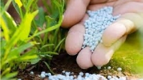 ۷۷درصد از برنامه ابلاغی انجام شده است/ توزیع کود با همان قیمت قبلی