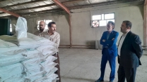 بازدید  مهندس سلیمی مشاور محترم مدیر عامل از ستاد جهت بازدید از انبارهای استان مرکزی و عملیات نمونه برداری از کودهای تولید داخلی – مهر ماه 1404 بازدید  مهندس سلیمی مشاور محترم مدیر عامل از ستاد جهت بازدید از انبارهای استان مرکزی و عملیات نمونه برداری از کودهای تولید داخلی – مهر ماه 1404