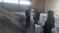 تأکید بر ارتقای ظرفیت تولید در بازدید مدیر شرکت خدمات حمایتی کشاورزی استان ایلام از کارخانه تولید کود سوپر فسفات ساده