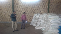 بازدید کارشناسان پایش کودی از کارگزاری حسین اباد در شهرستان قم
