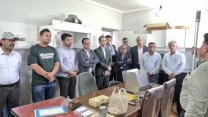 بررسی کیفی خرید بذرگندم وجودرآزمایشگاه کنترل کیفی بذر