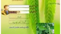 توزیع مقدار3 تن کود کشاورزی یارانه ای اوره برای مصرف کشت لوبیا در شهریور ماه سال۱۴۰۴