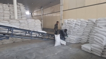 مهمترین وظیفه شرکت خدمات حمایتی کشاورزی تامین و توزیع به موقع کودهای کشاورزی بین بهره برداران میباشد مهمترین وظیفه شرکت خدمات حمایتی کشاورزی تامین و توزیع به موقع کودهای کشاورزی بین بهره برداران میباشد