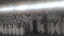 بازدید کارشناس فنی از انبار سازمانی شرکت خدمات حمایتی کشاورزی استان هرمزگان برای کنترل موجودی و کیفیت کیسه‌گیری