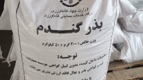 آماده سازی مقدار 270 تن بذر میهن گواهی شده 