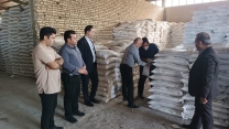 ارسال نمونه کود سولفات پتاسیم گرانوله تولید شرکت معدنی املاح ایران به مرکز تحقیقات کرج