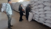 بازدید کارشناسان حفظ نباتات از پارت های بوجاری شده گندم در انبار سازمانی شهرستان شاهرود بازدید کارشناسان حفظ نباتات از پارت های بوجاری شده گندم در انبار سازمانی شهرستان شاهرود
