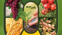 برگزاری ششمین همایش آموزشی ، ترویجی معرفی سبد کودی شرکت خدمات حمایتی  28 مهر ماه 1404 استان مرکزی اراک  برگزاری ششمین همایش آموزشی ، ترویجی معرفی سبد کودی شرکت خدمات حمایتی  28 مهر ماه 1404 استان مرکزی اراک