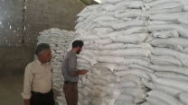 نمونه‌برداری از محموله ۲۰۰ تنی سولفات پتاسیم درانبارسازمانی ارزوئیه انجام شد