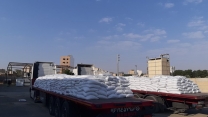 تامین وارسال 105 تن کود کشاورزی سولفات پتاسیم برای کشاورزان شهرستان سرپل ذهاب