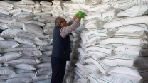 نمونه برداری از 200 تن کود سولفات پتاسیم گرانوله در استان زنجان  نمونه برداری از 200 تن کود سولفات پتاسیم گرانوله در استان زنجان