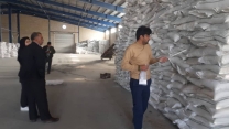نمونه برداری از کود سولفات پتاسیم گرانوله در انبار شرکت خدمات حمایتی کشاورزی خراسان جنوبی
