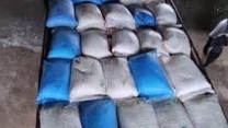 توزیع مقدار۶ تن  کود کشاورزی یارانه ای برای مزارع ذرت علوفه ای شهرستان کردکوی در پنج ماه سال جاری