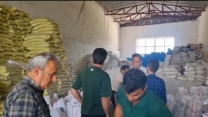 بازدید از روند کیسه گیری کود اوره فله در کیسه های آرم دار شرکت خدمات حمایتی کشاورزی استان گلستان در کارگزاری کود عجم نوروزی در شهرستان آزادشهر  