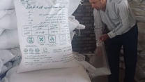 نمونه گیری از کود کشفی یارانه ای اوره در شهرستان شاهرود