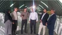 بازدید همکاران شرکت خدمات حمایتی کشاورزی خراسان رضوی از مراکز عرضه کودهای کشاورزی شهرستان کاشمر