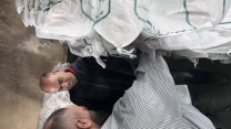 بررسی عملکرد کارگزاری توزیع نهاده های کشاورزی شهرستان شاهرود توسط کمیته فنی استان انجام شد.