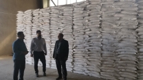 بازدید مدیر شرکت خدمات حمایتی کشاورزی استان کردستان از انبارهای سازمانی استان به مناسبت هفته دولت