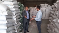 بازدید مدیر شرکت خدمات حمایتی کشاورزی استان کردستان ازانبار کارگزاری در شهرستان دیواندره