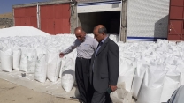 بازدید مدیر شرکت خدمات حمایتی کشاورزی استان کردستان از انبار کارگزاری در شهرستان دیواندره