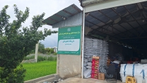 پایش حضوری از کارگزاری سلیمه اصغری 
