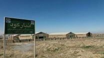 توزیع انواع کودهای کشاورزی   به شهرستان ساوه و زرندیه ،  استان مرکزی- شش ماهه اول سال 1404 