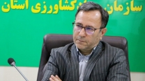 در دیدار باکارگزاران مطرح شد:روش‌های سنتی توزیع کود پاسخ‌گوی کشاورزان نیست