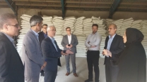 بازدید میدانی معاونت بهبود تولیدات گیاهی  از شرکت خدمات حمایتی کشاورزی لرستان