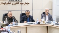 جلسه مدیر شرکت خدمات حمایتی کشاورزی لرستان با نماینده مردم شهرستان الیگودرز در مجلس شورای اسلامی 