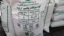 توزیع بیش از 1400 تن کود پتاس یارانه ای در جنوب استان کرمان با هدف ارتقای حاصلخیزی خاک و افزایش تولید محصولات کشاورزی
