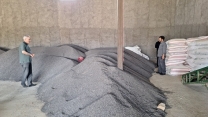 بازدید ازانبار  کارگزاری تعاونی خدابنده توسط شرکت خدمات حمایتی کشاورزی استان زنجان