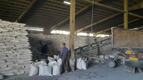 شرکت خدمات حمایتی کشاورزی، ۵۲۰۰ تن کود فسفات برای ارتقای حاصلخیزی اراضی کشاورزی همدان تأمین کرد