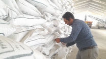 کنترل کیفی کودهای کشاورزی در شرکت خدمات حمایتی کشاورزی استان همدان