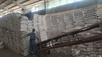 حمایت از کشت پاییزه با توزیع مستمر کودهای یارانه ای در منطقه  جنوب کرمان حمایت از کشت پاییزه با توزیع مستمر کودهای یارانه ای در منطقه  جنوب کرمان