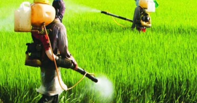 توزیع آفت کش ها در دستور کار شرکت خدمات حمایتی کشاورزی می باشد