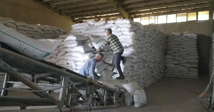 تامین نهاده‌های کشاورزی همگام با تقویم کشت، در مسیر تداوم چرخه تولیدات محصولات زراعی 