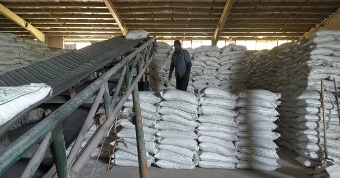 تداوم خدمت‌رسانی به کشاورزان همدان با تامین مستمر کود کشاورزی