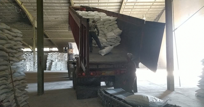 حمایت هدفمند از  باغات با توزیع اصولی ؛ گامی در مسیر ارتقای  تولیدات باغی همدان