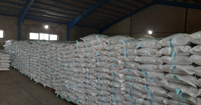 نمونه برداری از بذرهای برنج پروسس شده توسط نماینده موسسه تحقیقات اصلاح بذر و نهال 