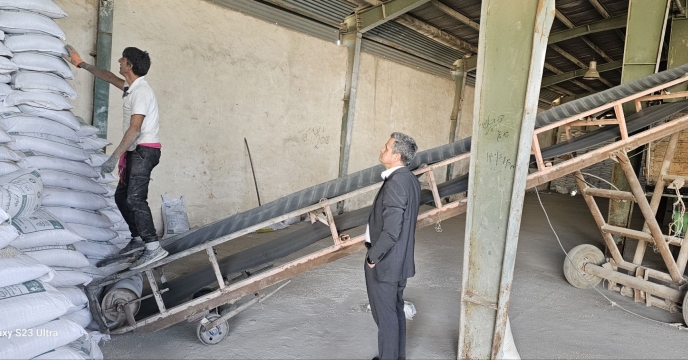 تامین پایدار کود در جنوب کرمان؛ فروش  مقدار 410 تن انواع کود کشاورزی به کارگزاران منطقه