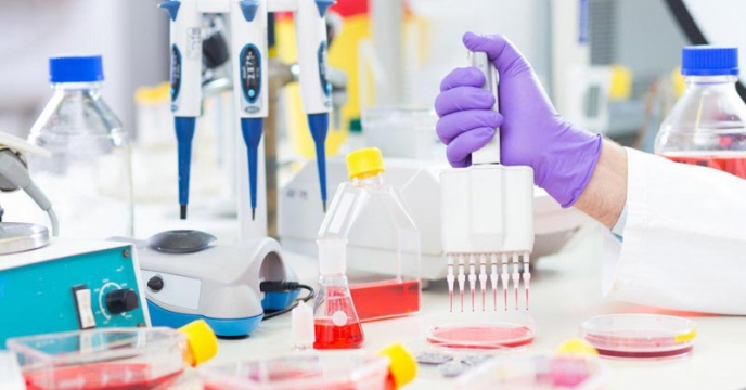 ارسال نتیجه قابل قبول کود سوپرفسفات تریپل ارسالی از شرکت خدمات حمایتی استان گیلان