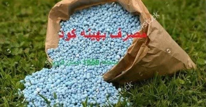  تحویل12 نمونه آب و خاک به باشگاه کشاورزان شرکت خدمات حمایتی کشاورزی استان گلستان در دی ماهه سال جاری