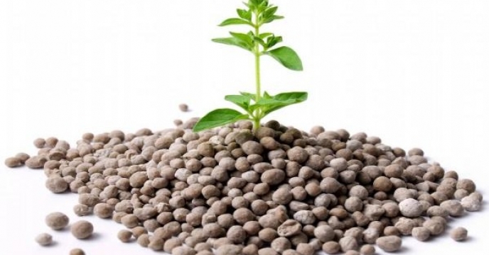 توزیع 4,425 تن کود سوپرفسفات تریپل در آذربایجان شرقی