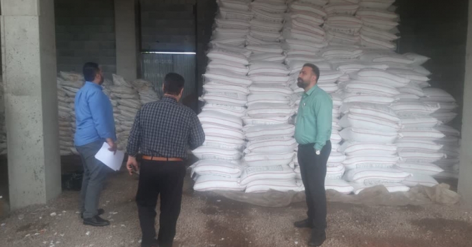 کود رسانی به باغات زیتون؛ سلامت درختان تضمین شد