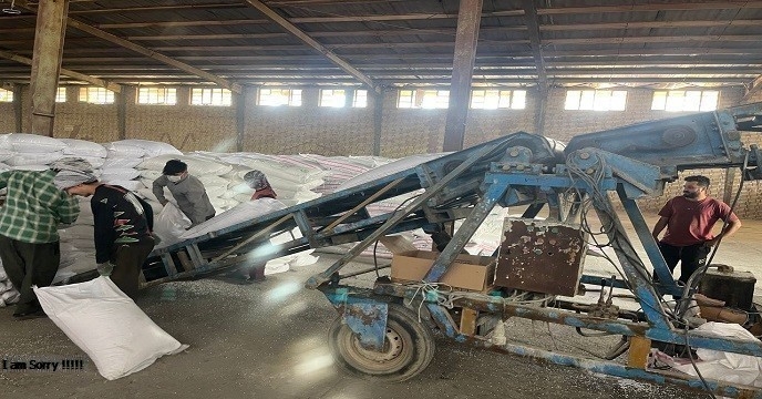 حمل و توزیع 2075تن انواع کود کشاورزی در شهرستان حمیدیه طی دی‌ماه توسط شرکت خدمات حمایتی کشاورزی استان خوزستان