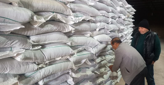 نمونه‌برداری از کود سوپر فسفات ساده گرانوله توسط شرکت خدمات حمایتی کشاورزی استان قزوین